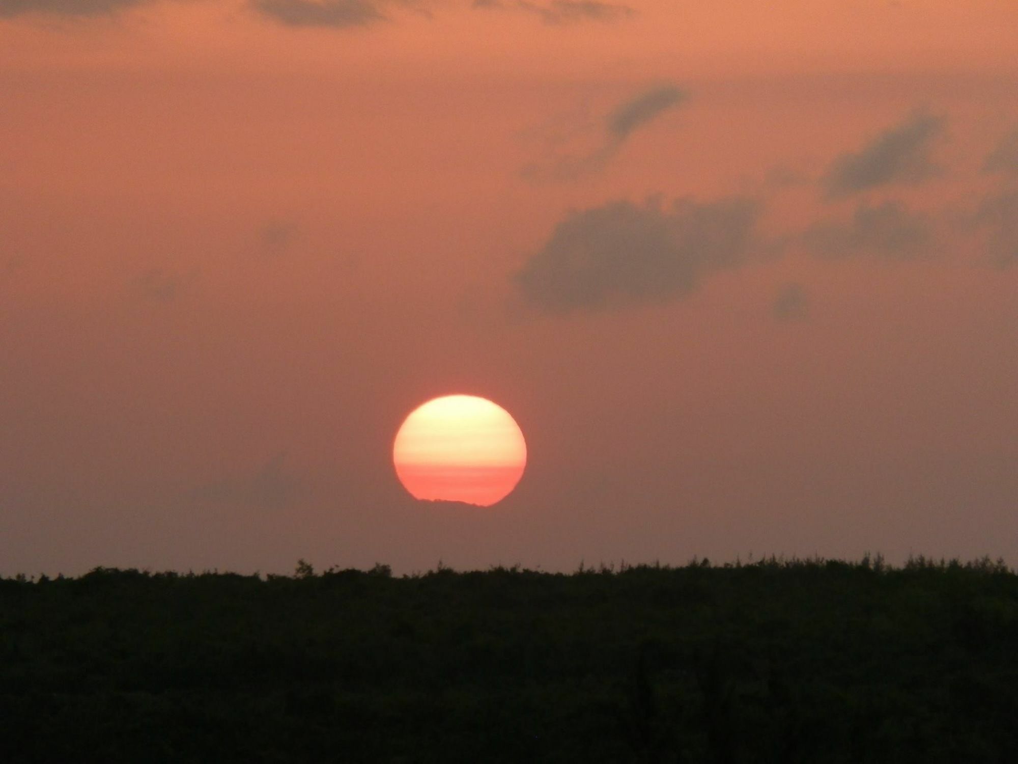 Mfumbwi Lodge Jambiani  Buitenkant foto